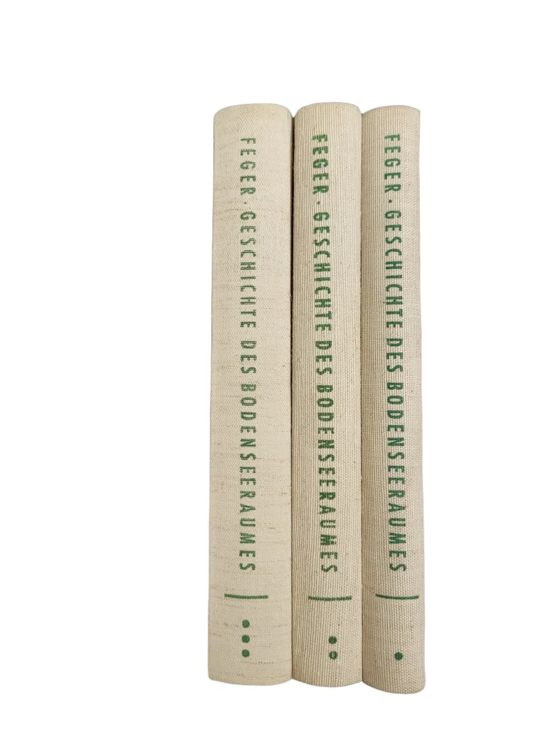Buch Otto Feger 