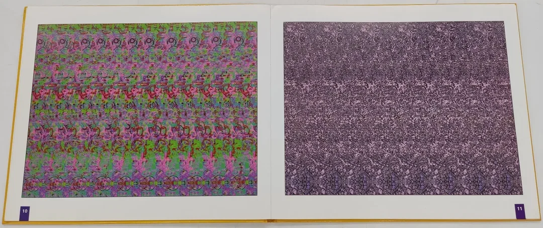 Buch Phantastische Bilder  3-D Illusionen "Verborgene Motive im Bild" – Bild 4