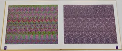 Buch Phantastische Bilder  3-D Illusionen 