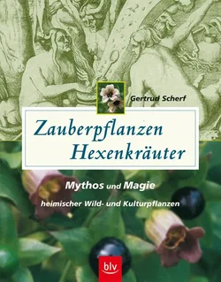 Zauberpflanzen - Hexenkräuter - Gertrud Scherf