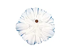 Waltherglas Zuckerl-Schale / Teller made in Germany - Bild 2