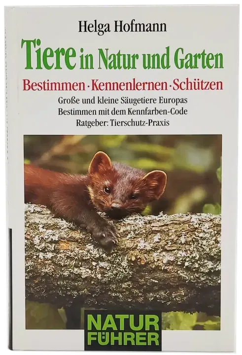 Buch 
