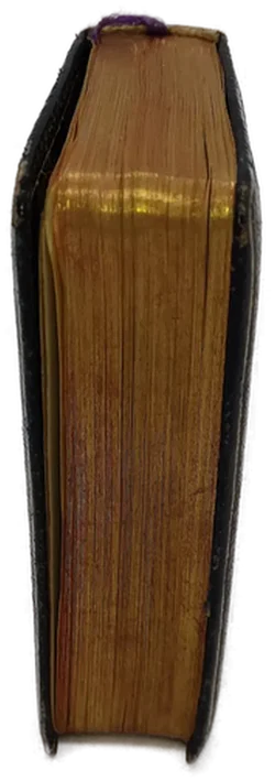 Buch 