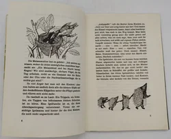Buch 