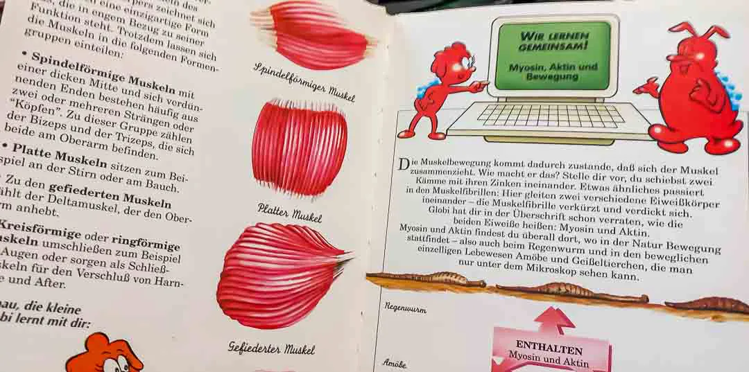 Es war einmal das Leben De Agostini Sammlung Band 1–32 komplett – Bild 4