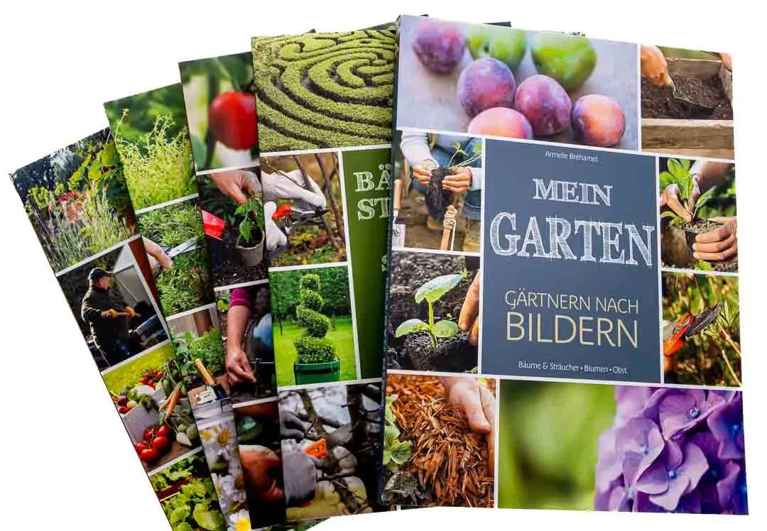 5 Bände Set – Gärtnern nach Bildern: Garten, Gemüse, Kräuter - Bild 2
