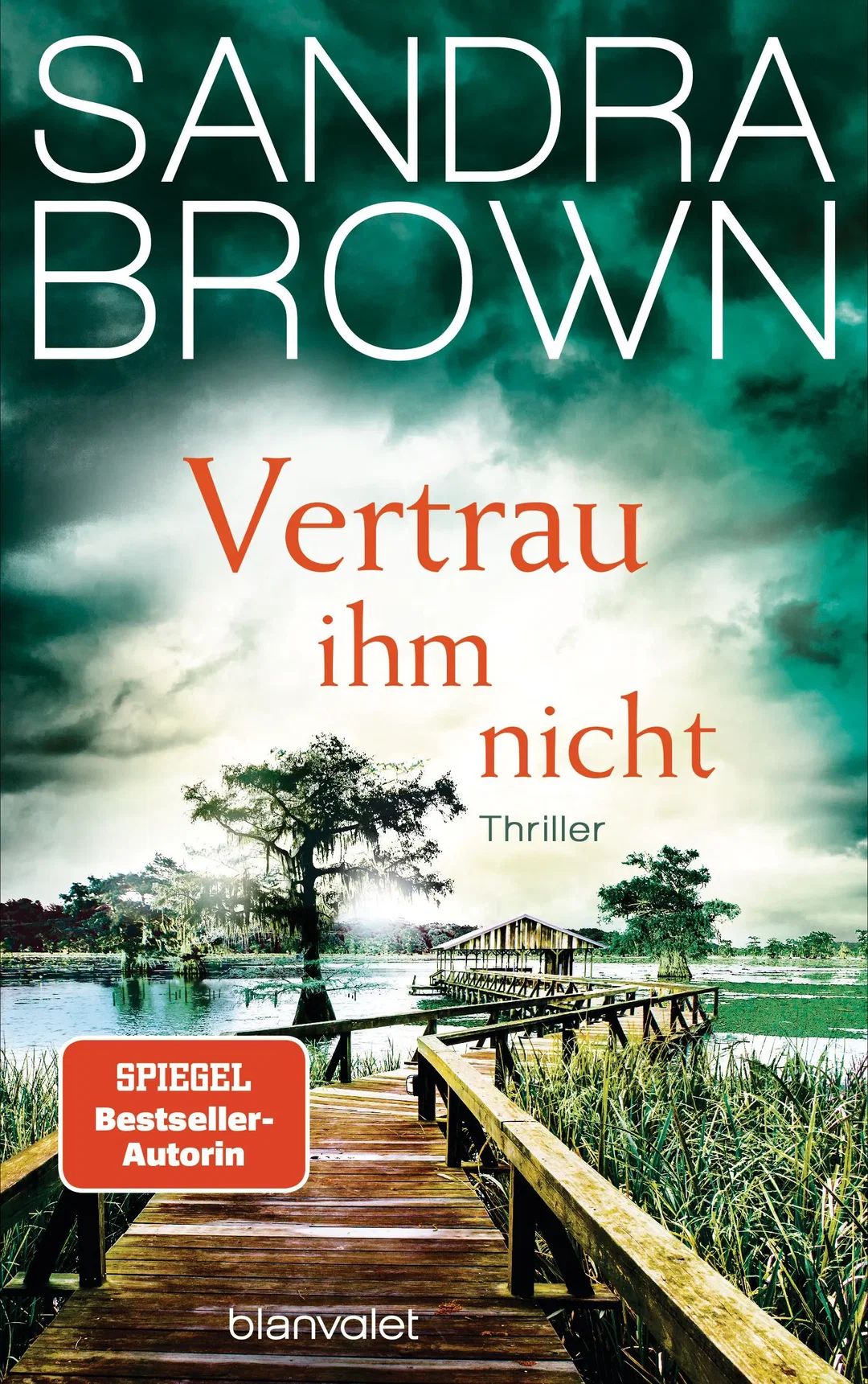 Vertrau ihm nicht - Sandra Brown - Bild 1