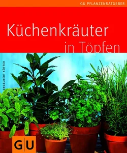 Küchenkräuter in Töpfen - Engelbert Kötter