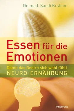 Essen für die Emotionen - Sandi Krstinić