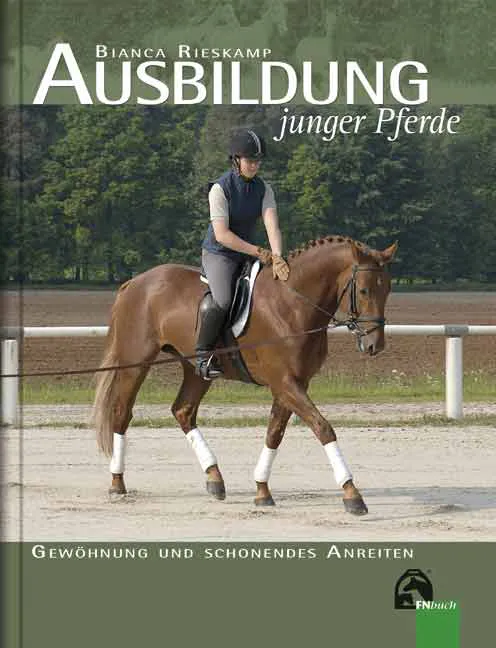 Ausbildung junger Pferde - Bianca Rieskamp - Bild 2