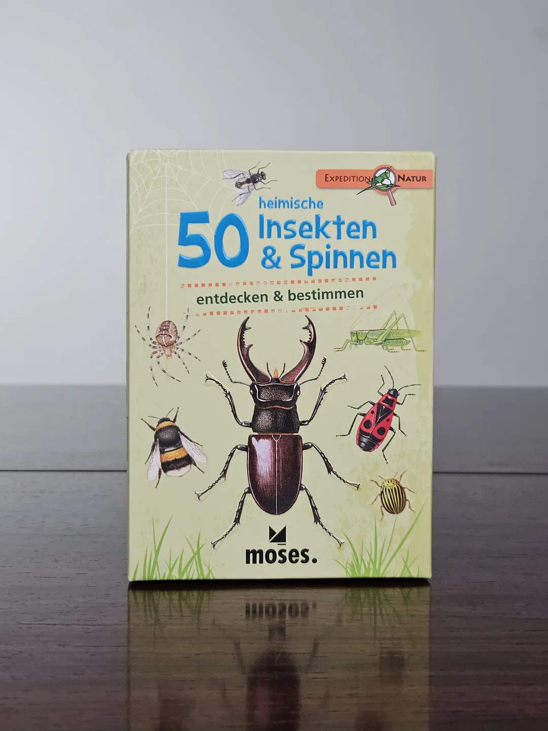 Heimische 50 Insekten & Spinnen. entdecken & bestimmen - Gesellschaftsspiele - Moses – Bild 1