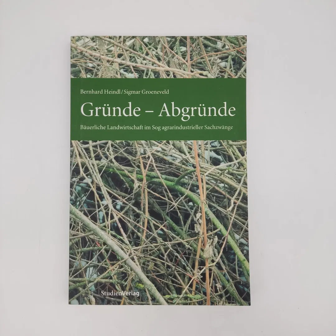 Gründe - Abgründe - Bernhard Heindl,Sigmar Groeneveld - Bild 1