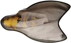 Flying Bee – Batteriebetriebene Fliegende Biene, Originalverpackt, ab 4 Jahren - Bild 2