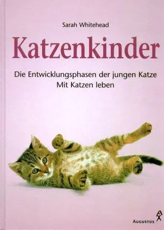 Katzenkinder - Sarah Whitehead - Bild 1