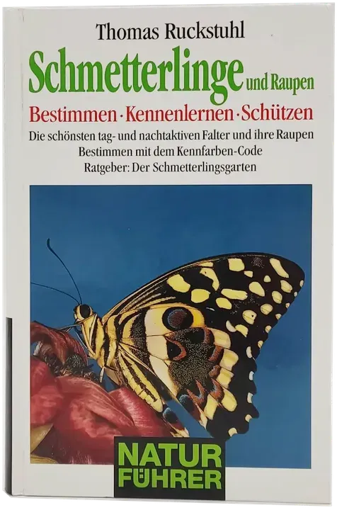 Buch 