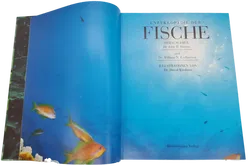 Buch Enzyklopädie der 