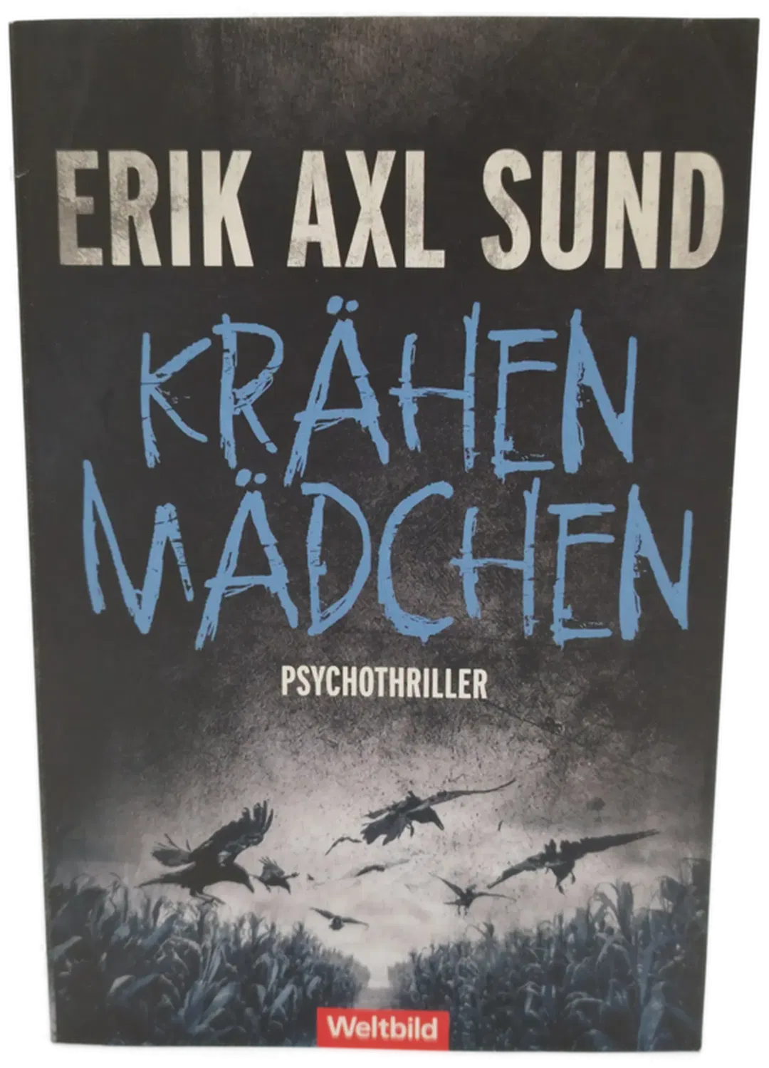 Taschenbuch Viktoria Bergman-Trilogie Erik Axl Sund | Skandi-Thrill - Bild 1