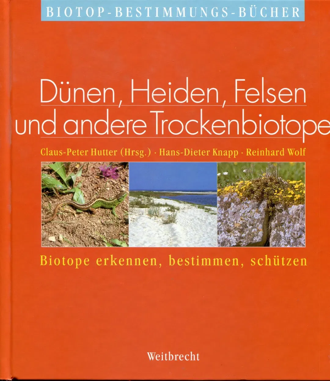 Dünen, Heiden, Felsen und andere Trockenbiotope - Hans Dieter Knapp,Reinhard Wolf - Bild 2