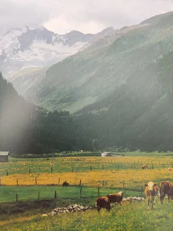 Wanderungen in Gebirgstälern: Tirol - 50 Touren zwischen Arlberg und Großlockner | Routen & Tipps - Bild 10