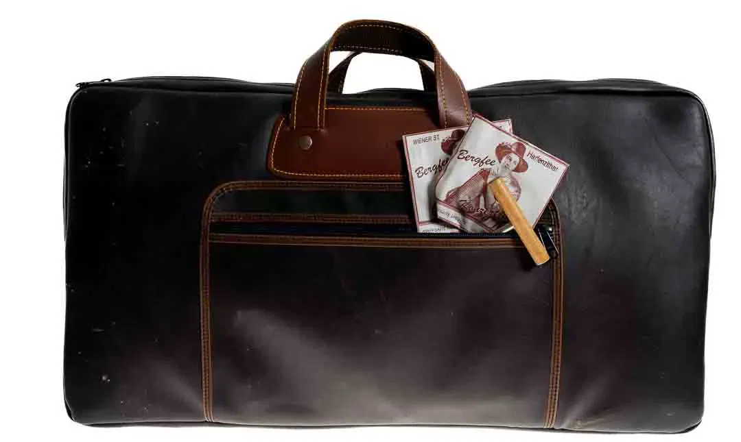 Vintage Konzertzither mit Tasche, ca. 62×34 cm - Bild 4