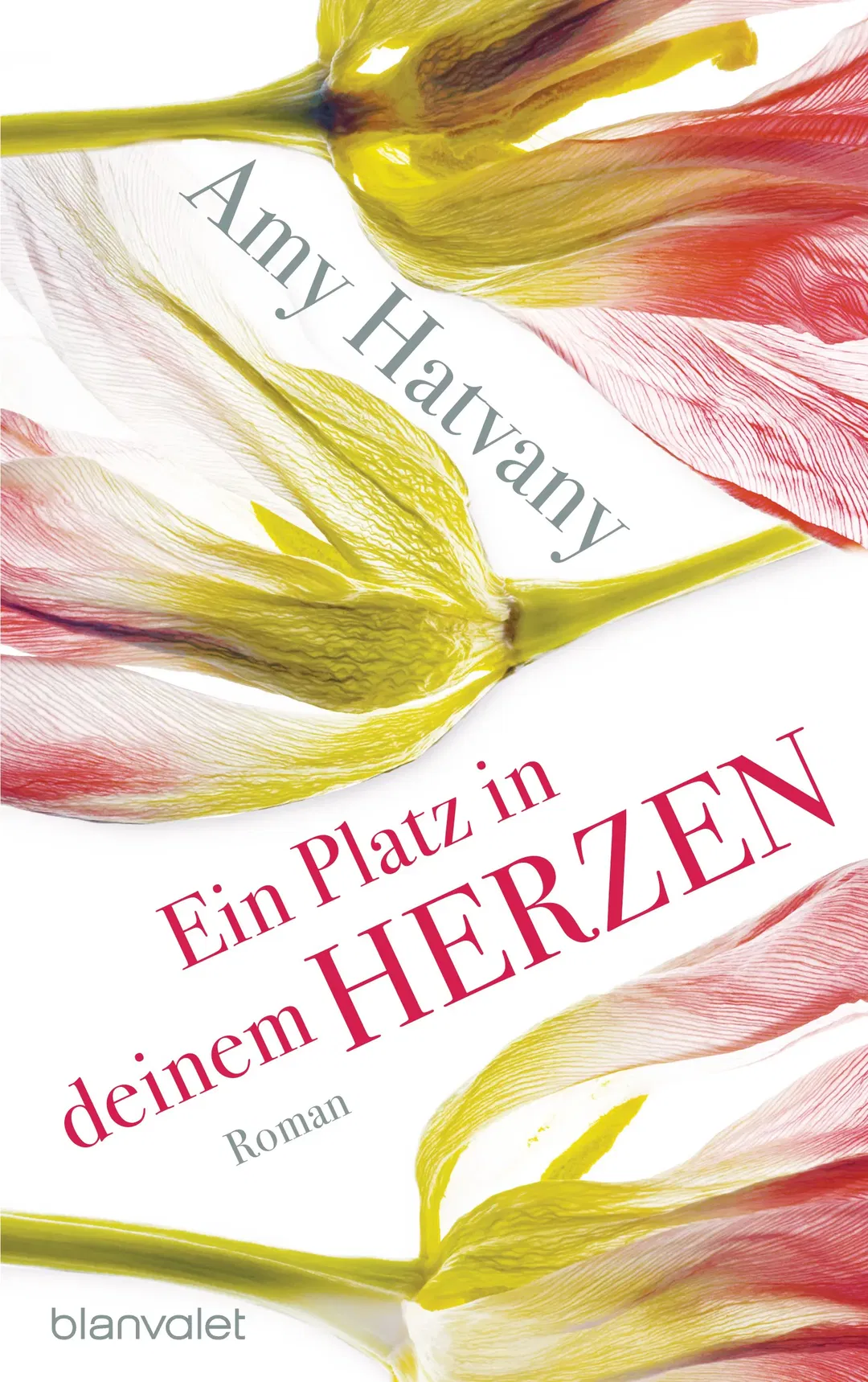 Ein Platz in deinem Herzen - Amy Hatvany - Bild 2