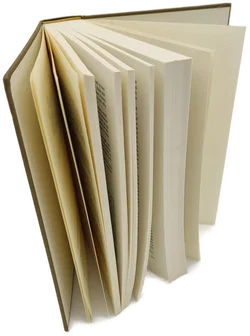 Buch 