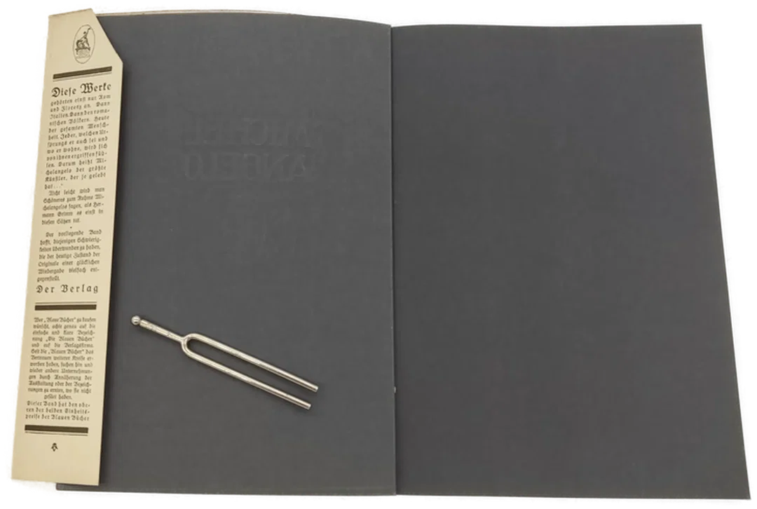 Buch/Bildband Michelangelo "Die Blauen Bücher" von 1941 – Bild 5