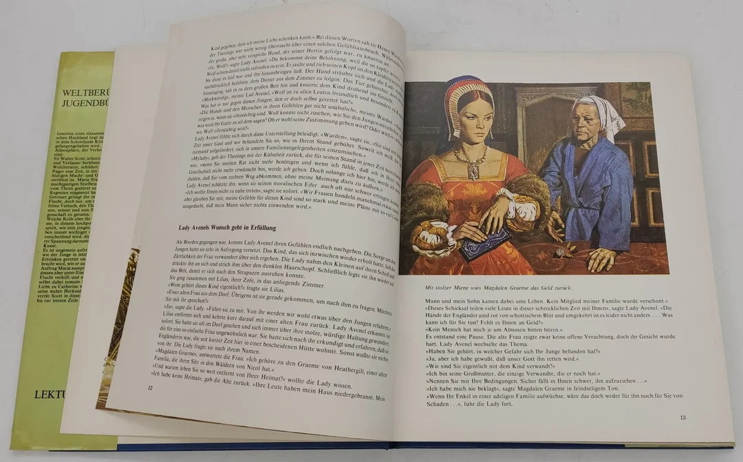 Buch Konvolut 5 Stück "Weltberühmte Jugentbücher" für Jugendliche und Erwachsene – Bild 3
