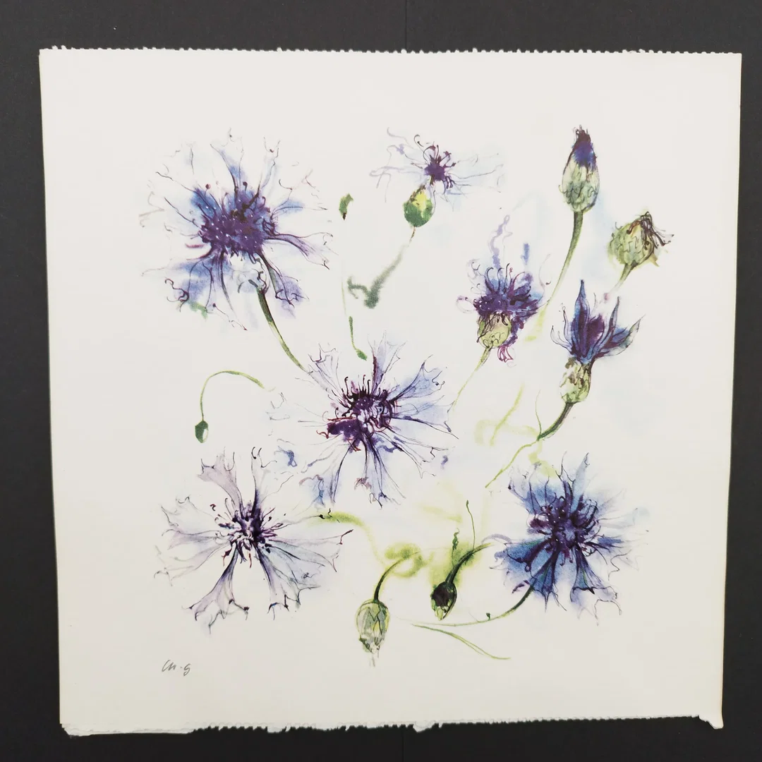 Ellen Gibbis: Blumenmalerei - KOPIE - Bild 1