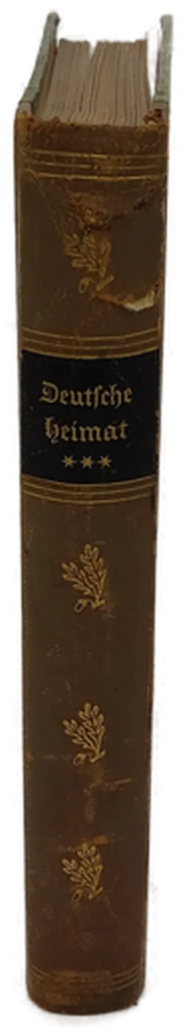 Buch "Deutsche Heimat" Bilder aus Stadt u. Land Band 3 von 1927  – Bild 7