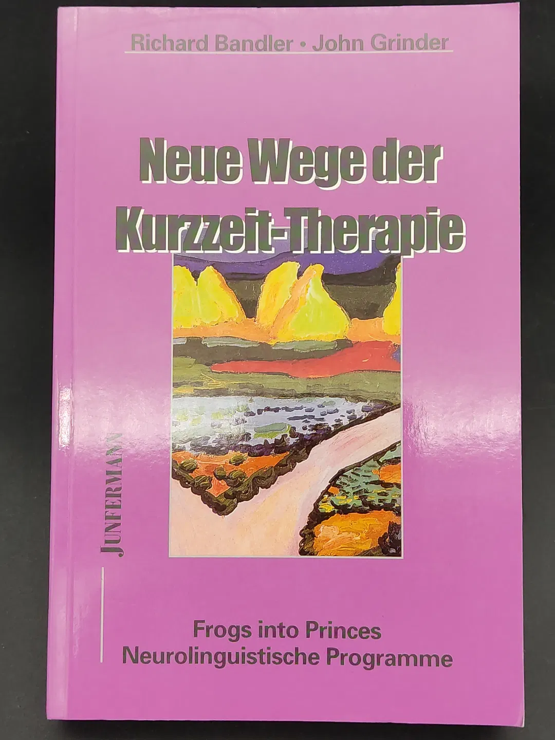 Neue Wege der Kurzzeit-Therapie -  Richard Bandler & John Grinder - Bild 2