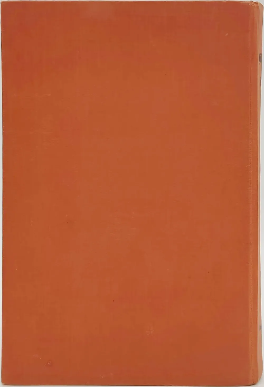 Buch "Die Höhlenfinder im Heimlichen Grund" von Alois Theodor Sonnleitner – Bild 2