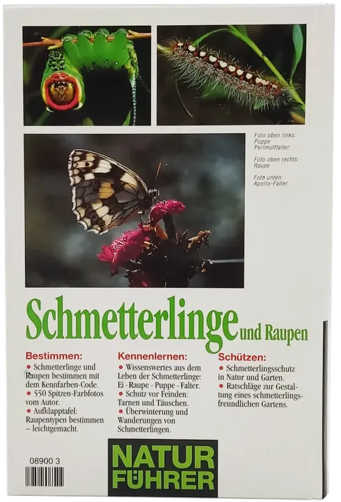 Buch 