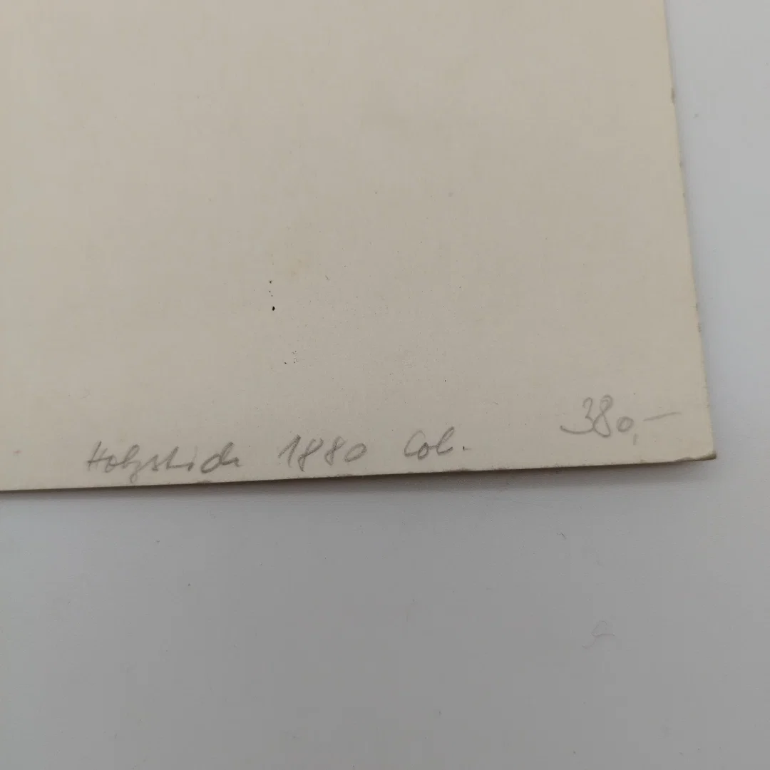 "Aus der Sellagruppe bei Corvara" Holzstich - Original von 1880 – Bild 4