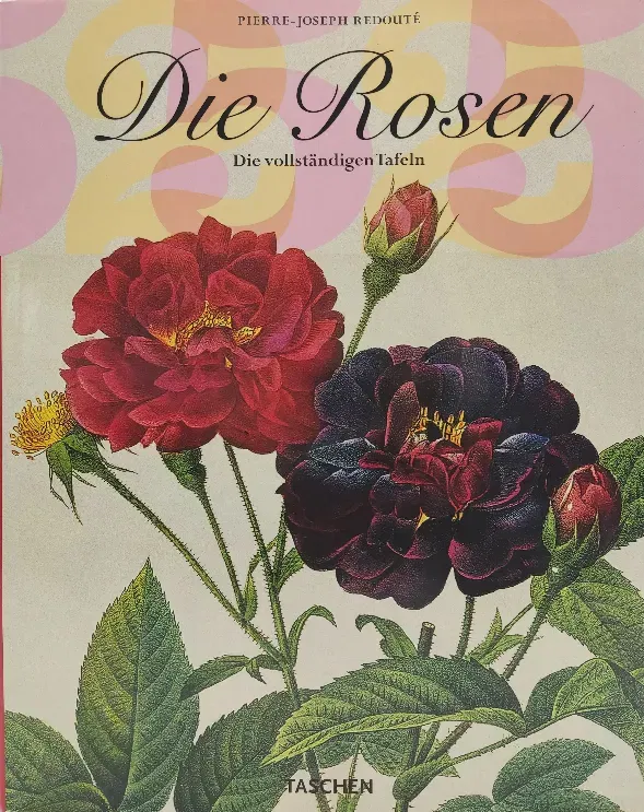 Redouté: Die Rosen - Barbara Schulz, Petra A. Hinz - Bild 2