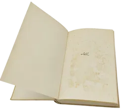 Die hundert Tage - Joseph Roth - Bild 3