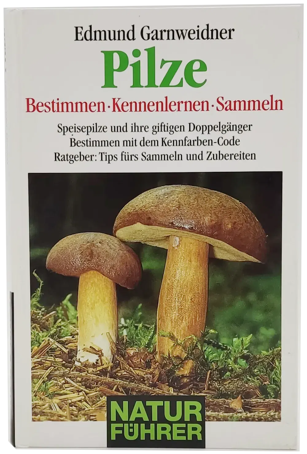 Buch 
