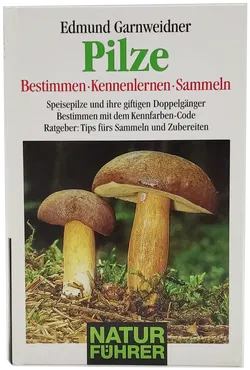 Buch 