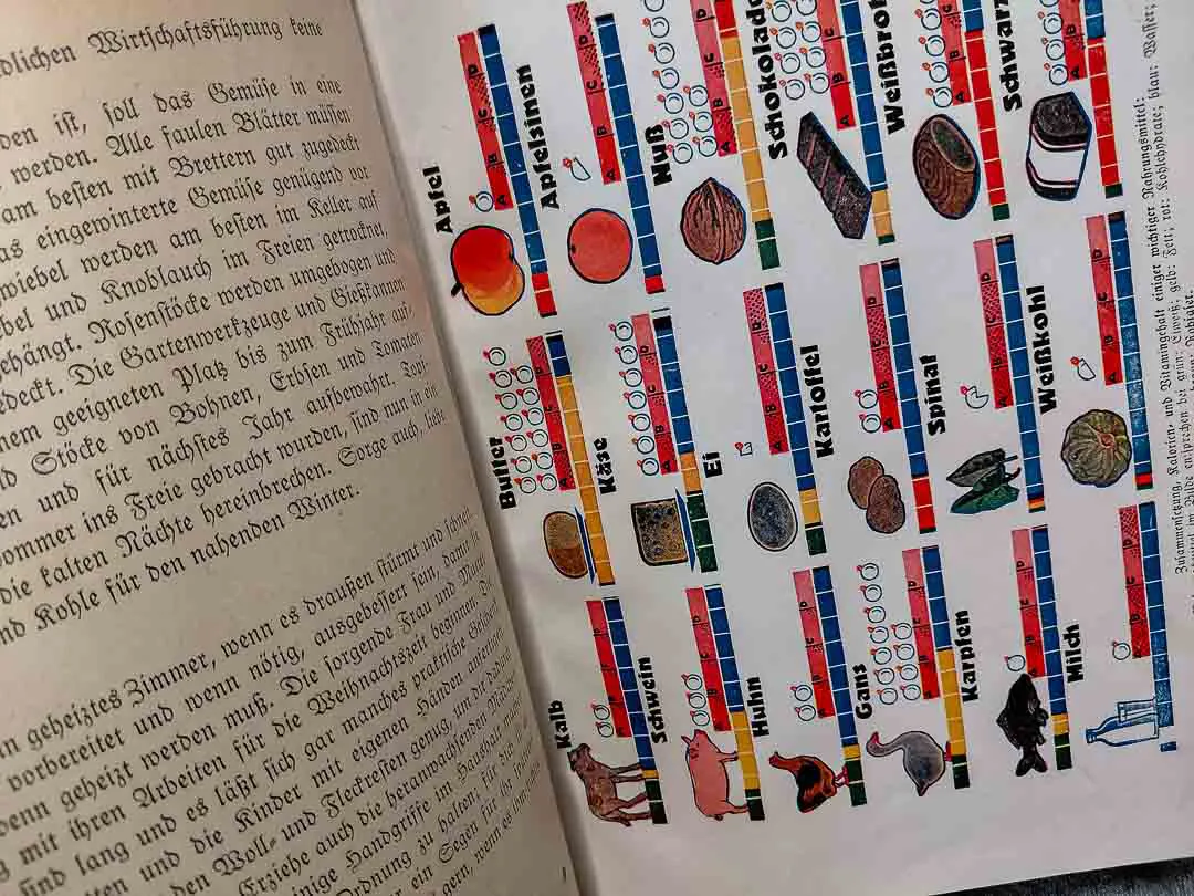Antiquariat: Haushaltsbuch Wirtschaftskunde Wels Fraktur Rezeptbuch Vintage – Bild 8