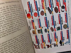 Antiquariat: Haushaltsbuch Wirtschaftskunde Wels Fraktur Rezeptbuch Vintage – Vorschau 8