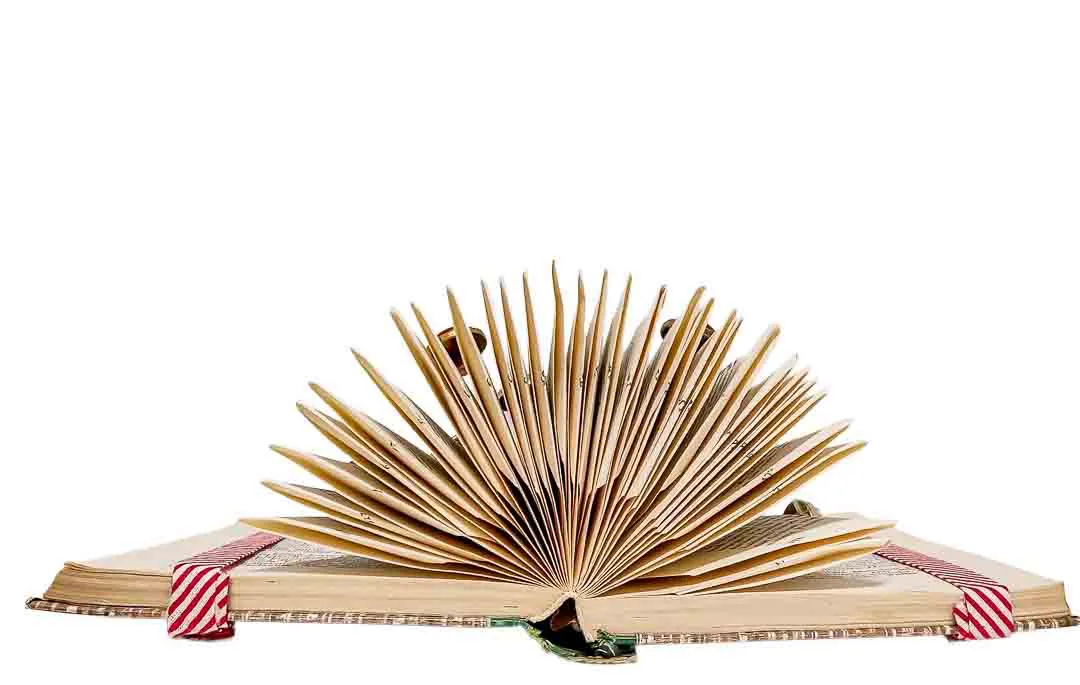 Seitengruaß, dekoratives Buchobjekt Buchkunst Faltbuch mit roten Akzenten – Bild 3