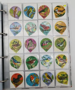 Kaffeerahmdeckel Sammelordner - 99% voll!  - Bild 5