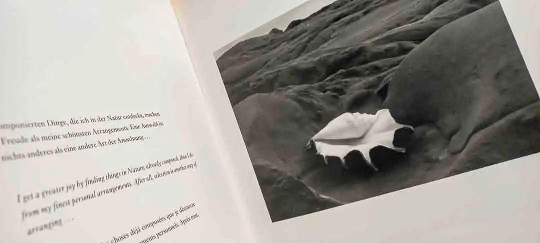 Edward Weston – Meisterwerke der Fotografie (Hardcover-Bildband) – Bild 2