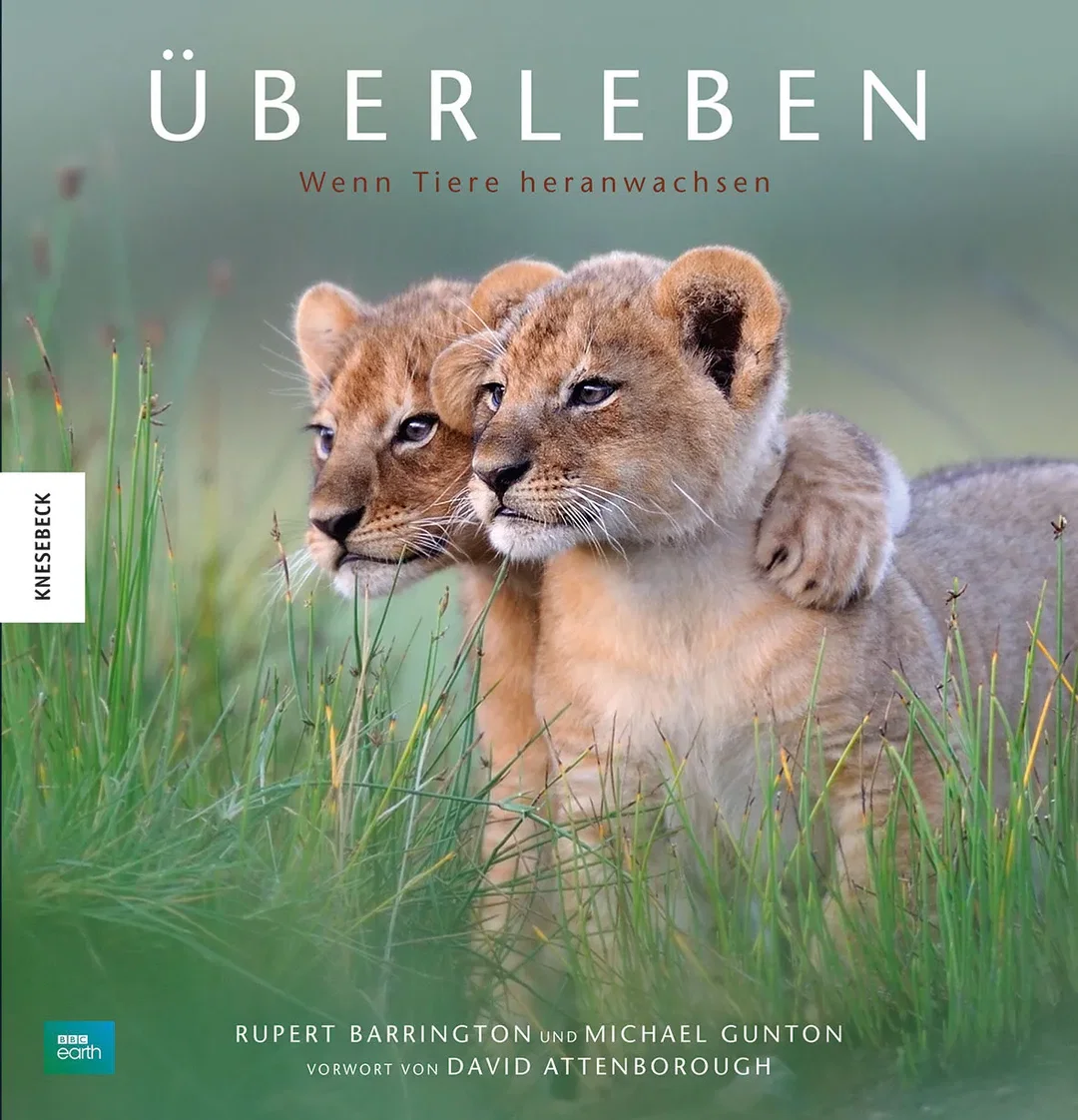 Überleben - Rupert Barrington,Tom Hugh-Jones,Michael Gunton,Miles Barton,Ian Gray - Bild 1