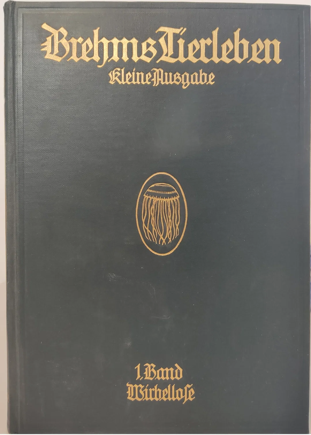 Brehms Tierleben. Band 1 - 5 - Bild 1