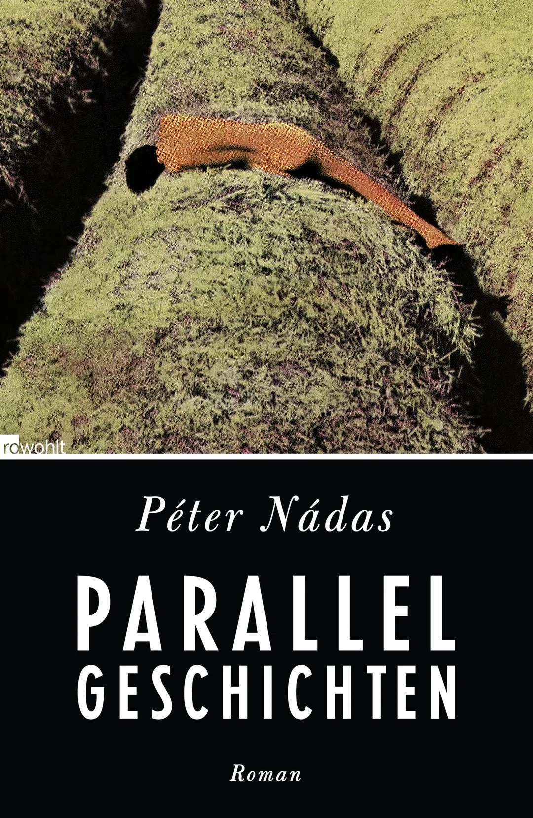 Parallelgeschichten - Péter Nádas - Bild 2