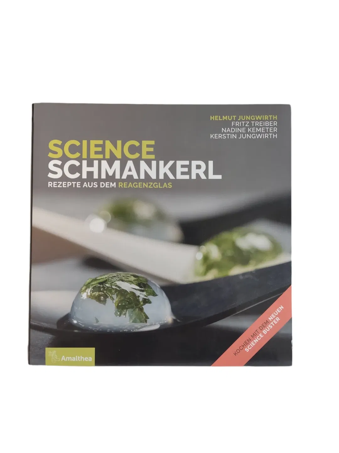 Buch Helmut Jungwirth,Fritz Treiber,Nadine Kemeter,Kerstin Jungwirth 