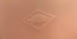 Vintage Schildkröt Puppe - Bild 4