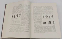 Buch Wien im Zeitalter Kaiser Franz Josephs I. Schilderungen von Reinhard E.Petermann 1908 - Bild 6