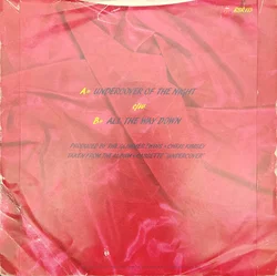 Single Vinyl The Rolling Stones 